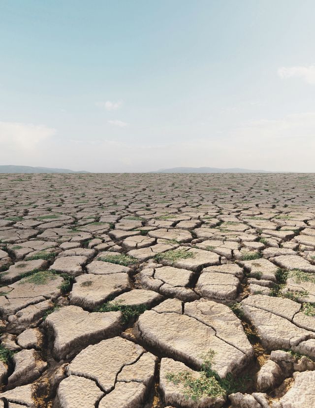 Una pianura di terra secca e screpolata