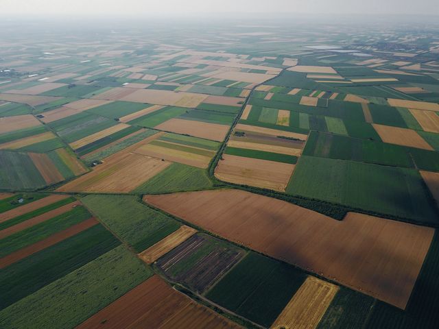 Un mosaico di campi visto dall’alto