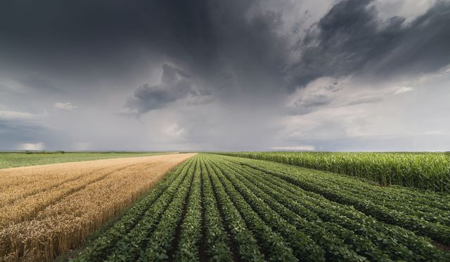 Un temporale che si forma sopra campi aperti